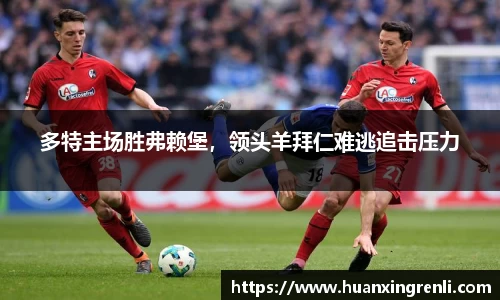 bsports登录入口